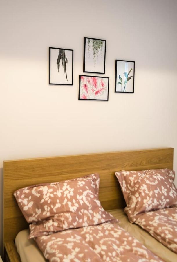 Paul'S Place. New Rooftop Apartment In Downtown 시비우 외부 사진